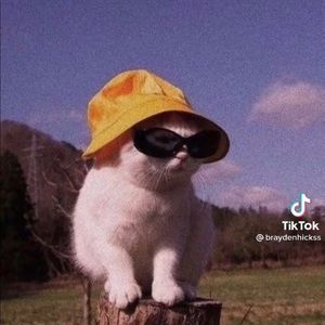 Meet your Posher, Prestan